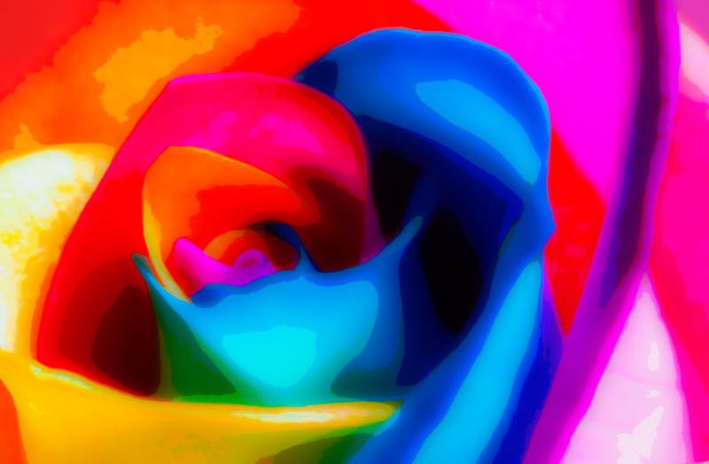 colorflower-2.jpg